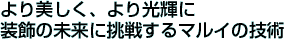 APɑ̖ɒ킷}C̋Zp